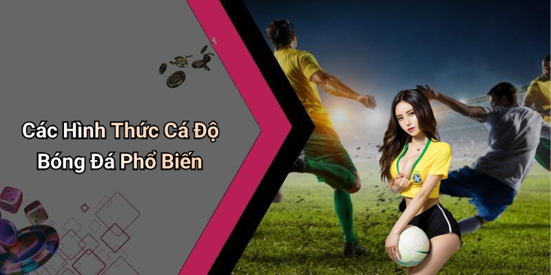 Các Hình Thức Cá Độ Bóng Đá Phổ Biến