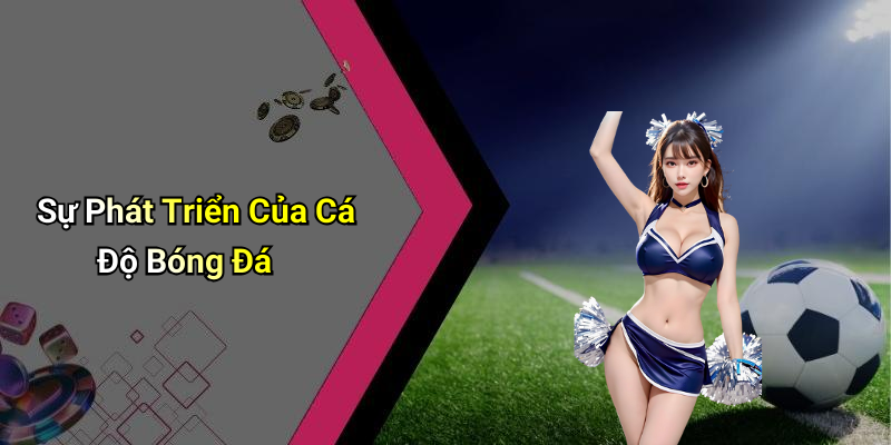 Sự Phát Triển Của Cá Độ Bóng Đá