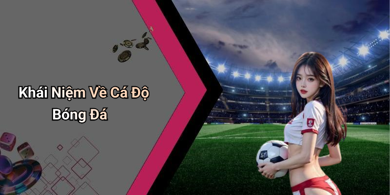 Khái Niệm Về Cá Độ Bóng Đá